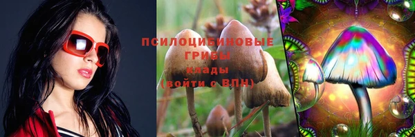 PSILOCYBIN Козловка