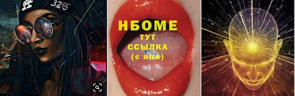 PSILOCYBIN Козловка