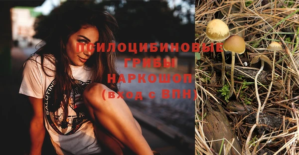 MDMA Premium VHQ Карталы