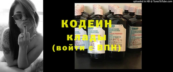 PSILOCYBIN Козловка