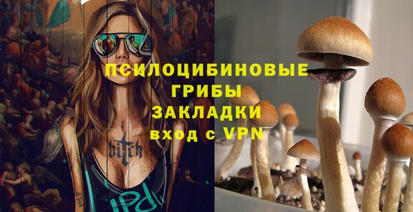 крисы Костерёво