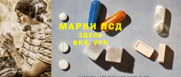 PSILOCYBIN Козловка