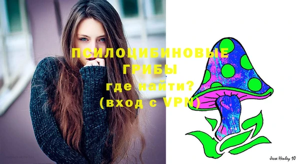PSILOCYBIN Козловка