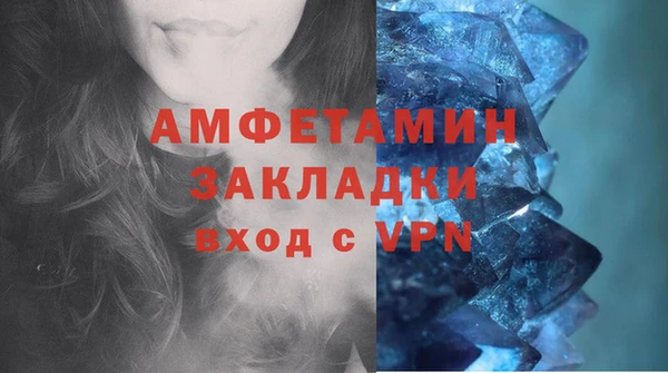 прущие грибы Грязи