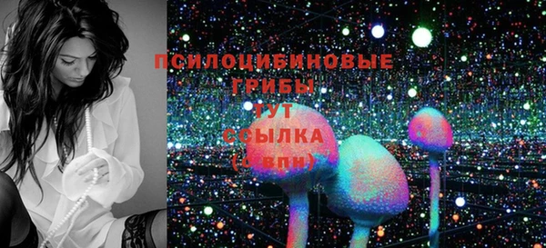 PSILOCYBIN Козловка